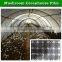 Black and white grid plastic greenhouse film for mushroom / bacteria growing house