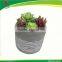 round cement planter with succulents