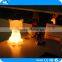 LED magic flashing light pet / fancy LED illuminated cat light