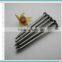 Bright Polished Common Wire Nails for Sale