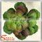 Factory hot sale mini ornamental artificial tropical succulent plants for decoration