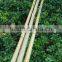 thick wall and strong tonkin bamboo canes for supporting plants at cheap price