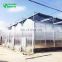 Low Price Agricultural Greenhouse& Multispan Tunnel Greenhouse for strawberry grape raspberry