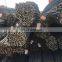 High Tensile Strength Deformed Steel Wire For Building