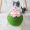 Sisal cactus cat scratcher ball toy scratching ball for cat claw and teeth grinding