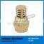 Economical Brass Non-Return Check Valve for Water Pump