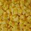 Frozen Diced Mango 10mm
