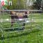 Horse Paddock Fence Cattle Horse Fence Gate Livestock Farm Fence