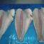 Frozen Pangasius Fillets, (pangasius Hypophthalmus) , Filete De Basa, Basa Rojo, Blanco