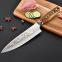 OEM/Wholesale 8 Inch Chef Knife VG10 Damascus Kitchen Knife with Pakkawood Handle Chefs Knives