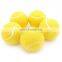 Custom Your own Logo high quality cricket tennis balls