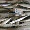 Landing frozen wholesale sardines with size 5 - 7 / kg
