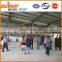 China factory made Redispersible Polymer Powder RDP Powder for Coating
