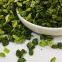 new harvest wholesales freeze dried spinach New harvest