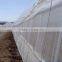 Сетка против насекомых из 100% первичного сырья HDPE/Сетки против насекомых для теплиц