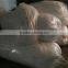 Factory direct EPE foam swimming pool noodles backer rod for swimming