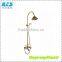 Fancy Glod Shower Faucet Rain Shower Set With Best Price
