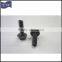 black flange carbon steel bolt and nut with serration (DIN6921)