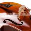 Solid Wood Flamed Professional Cello TL012