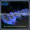 Wholesale Led Wedding Flowers