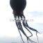 60m octopus kite