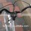 20" steel material princess/city bike/bicycle