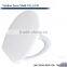 Plastic toilet seat /toilet cover mould manufacturer