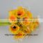 Chinese Famous Brand Focus Fresh Gerbera Fresh Cut Flowers Yellow Gerbera For All Occasions - Champagne