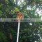 Fruit Picker With Extendable Handle FP-12015 new product
