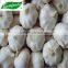 2015 new crop pure white garlic 4.5