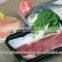 China Golden Supplier Free Sample Custom-Made PP Frozen Food Packaging