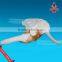 Shoulder joint model