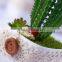 Home Garden Decoration Artificial Succulent Pots Wholesale Bonsai Pot