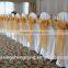 Spandex New Design 2015 Fashion Wedding Decoration