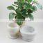 New Arrival Small Handmade White Marble Bulk Indoor Flower Pots for Livingroom
