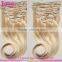Wholesale  Virgin Hair Fashion Style Clip In Hair Extension 7A