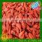 Dried Goji Berry Extract Best Price Import Supplier