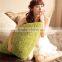 PV plush cushion cover and cushion pillow in light color,cushion home decor