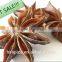 Guangxi China Raw Dried Star Aniseeds