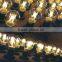 2014 NEW LED Design Filament Bulb A19 4W 360 Degree Beam Angle