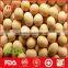 Chinese dried cheap soybeans for wholesale