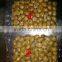 good quality wholesale peeled chestnut from china