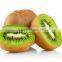 BRC,KOSHER,HALAL IQF kiwi halves
