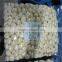 China Fresh Peeled Garlic Cloves Price