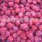 Chinese Frozen Strawberry