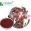 Hibiscus Flower Extract