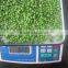 New Crop Frozen Mixed Vegetables