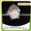 20-100 Mesh Halal kosher Seasoning Monosodium Glutamate MSG