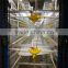 automatic poultry cage feeding system for sale