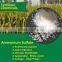 N21%min Ammonium Sulphate white Granular state amsul Nitrogen Fertilizer